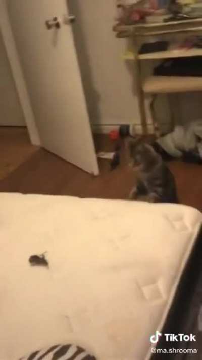 i would just burn the mattress
