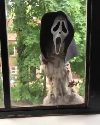 Pretty cool squirrel feeder