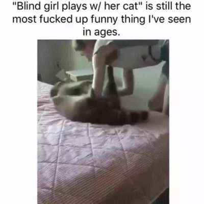 Playing with the Cat?