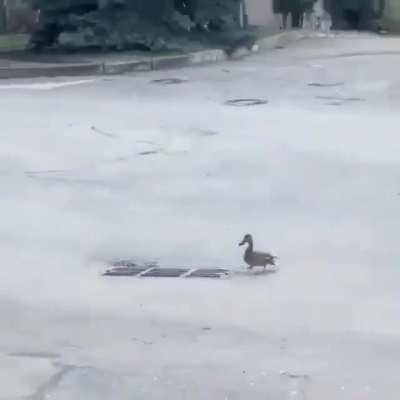Poor mother