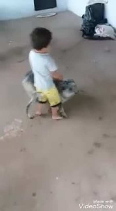Child got yeeted