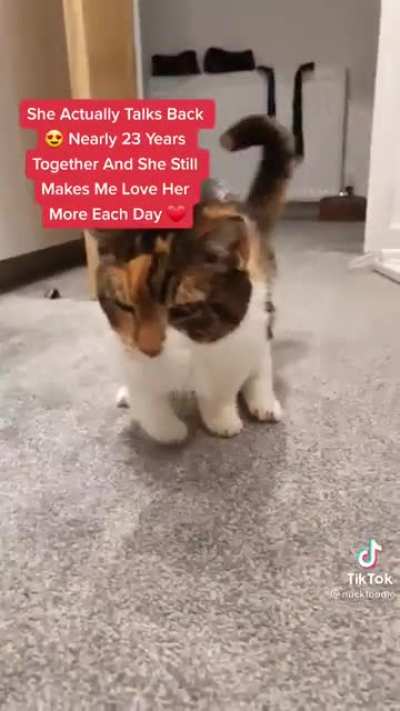 The love of a pet…. Ever eternal