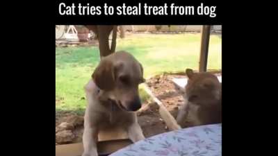 " I'm Gonna STEAL It. " ?