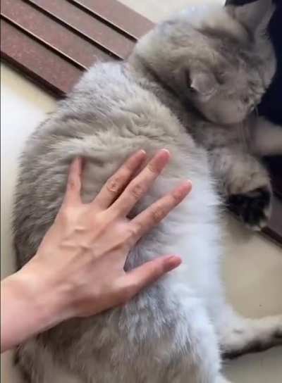no ??