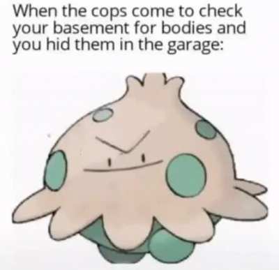 Check mate cops