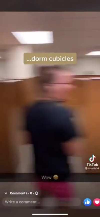 You thought one college roommate was bad?