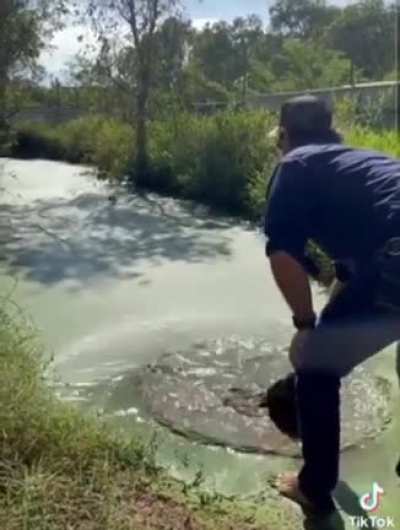 Gently pat the water