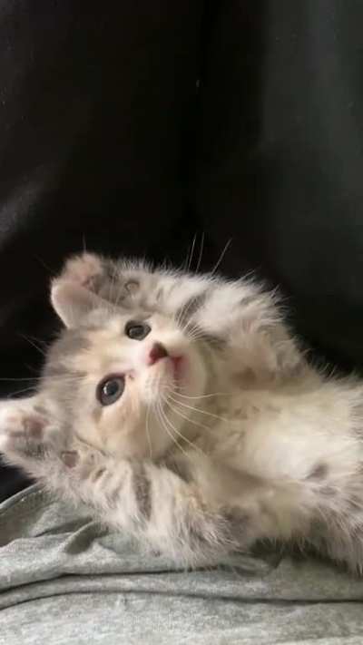 My heart melted ???