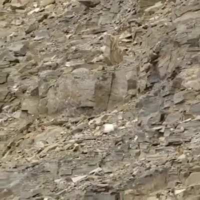 That leap of faith