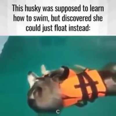 Why bother