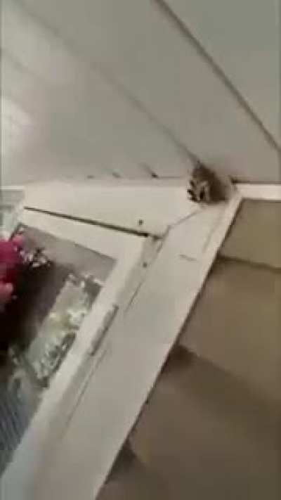 ???