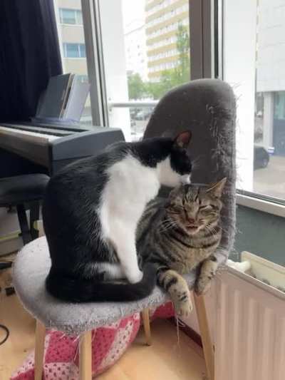 Bath time ??