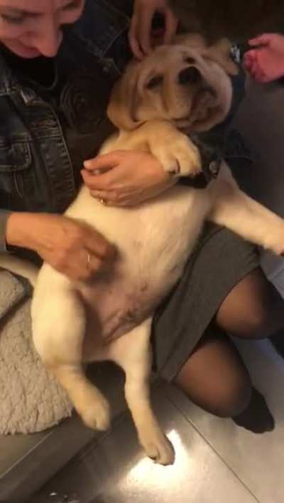 This is Snitch, he’s getting his first pets!