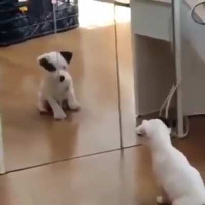 the first time in the mirror. ???