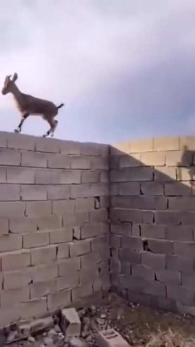 Maybe maybe maybe