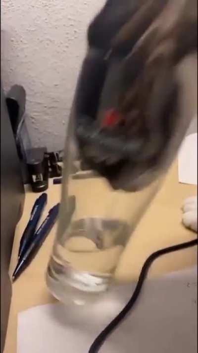 Abrupt drinking
