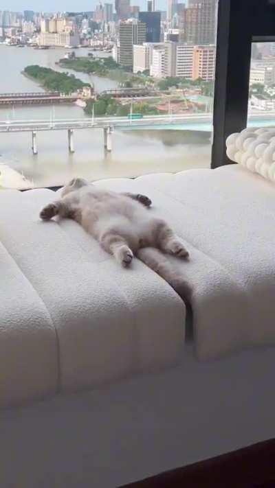 Sleepy stretches