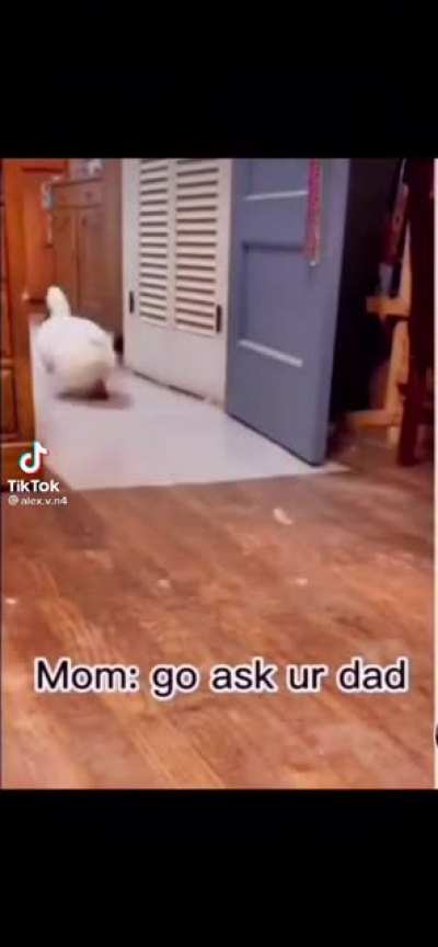 WHY WERE PARENTS LIKE THIS?