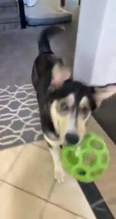 Tippity taps ?