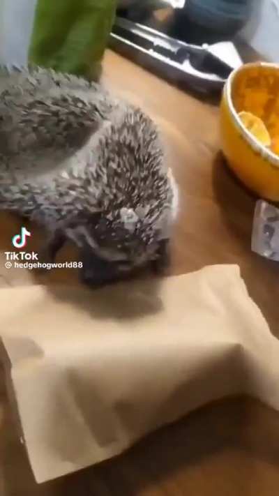 This is normal for them, they said