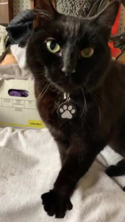 He’s just BEGGING