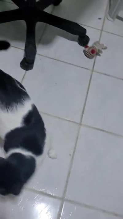The noise he makes when he lands