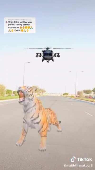I can’t describe this action scene