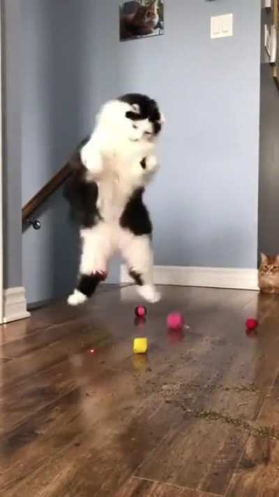 Let us dance