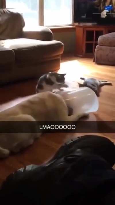 am I a joke to you?