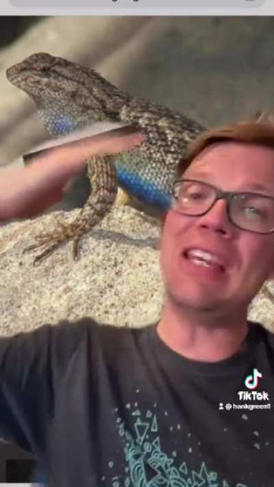 Cool animal facts