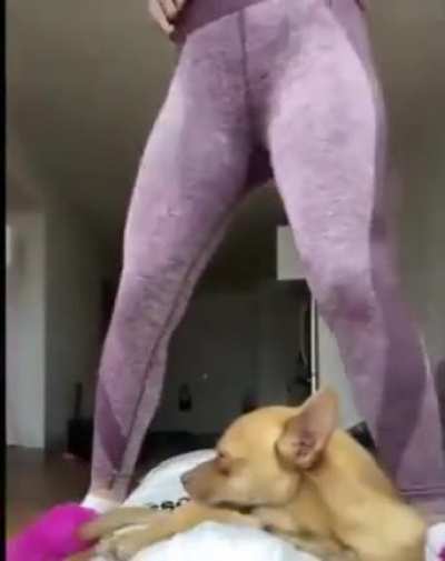 Nothing to see here