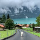 Lake Brienz Switzerland ??