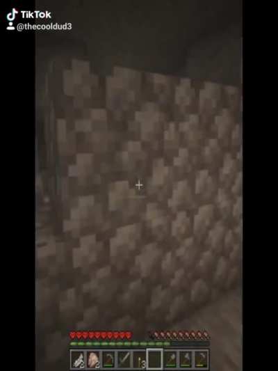A Minecraft story?
