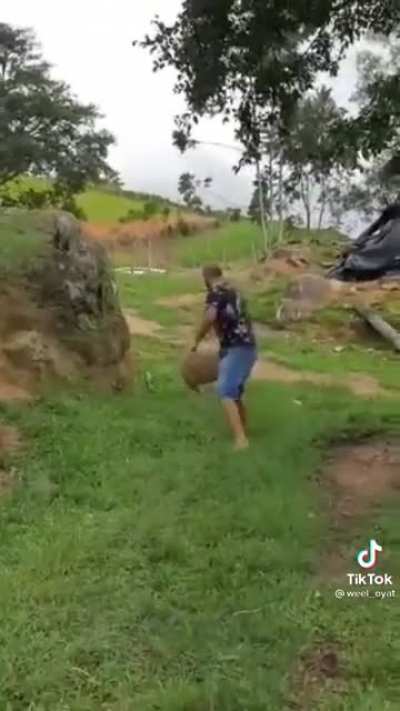 Sheep: You think I'm a joke?