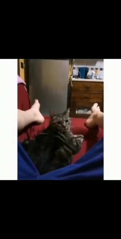Do you mind.