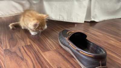 That slipper had it coming.
