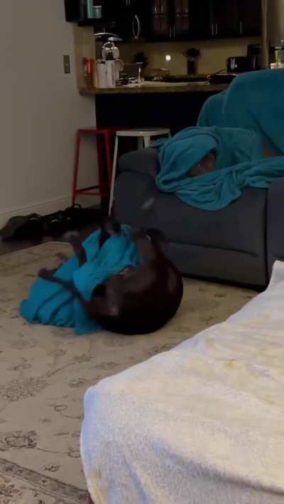 While we were on a trip, my future MIL sent us this video of our boys. It sums up both of their personalities perfectly. ?