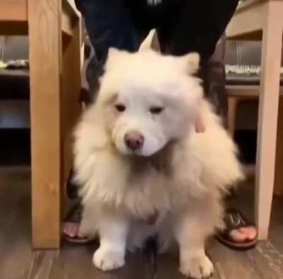 Poof!