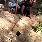 Helpful friend