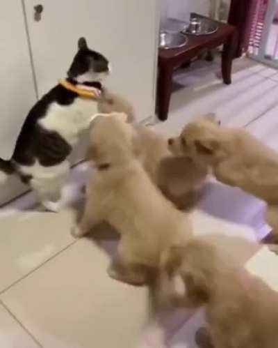 Maybe Maybe Maybe