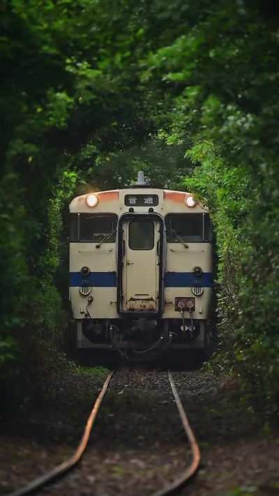 The way the surrounding fits perfectly for that Japanese train.