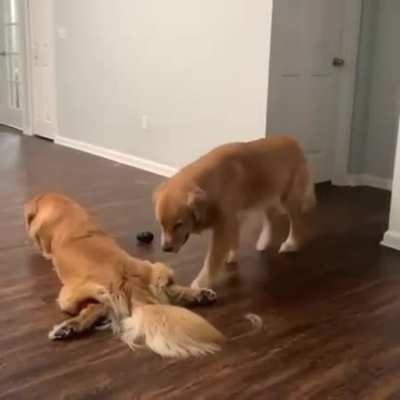 This Looks Comfy