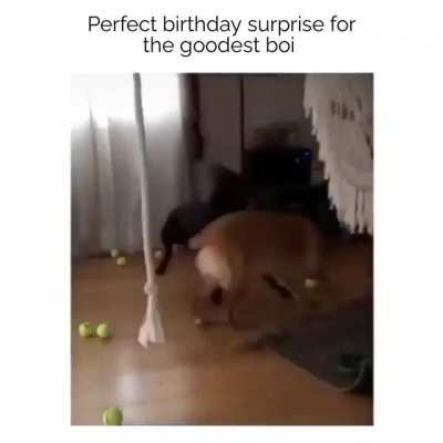 Perfect birthday gift