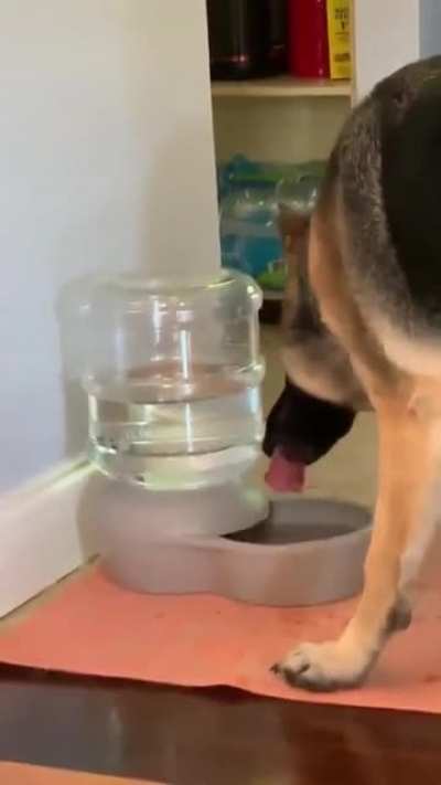 What is this human ?