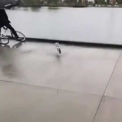 Not Just Once but Twice Things Going Wrong!
