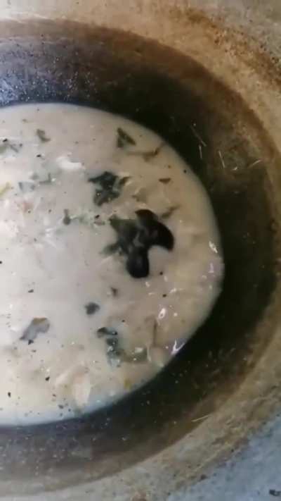 No Soup For You!