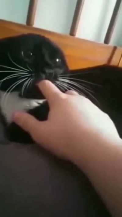 to be mean