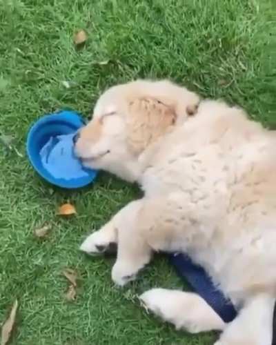Thirsty...sleepy....thirsty....slee..