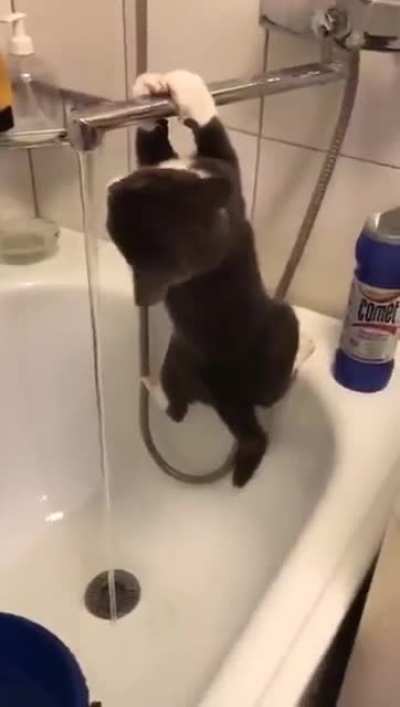 Maybe maybe maybe
