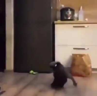 Accidental breakdance